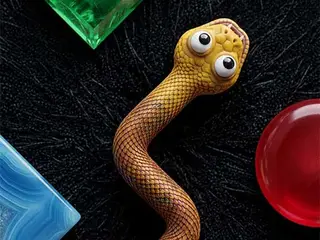 Color Snake Run