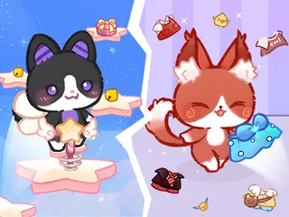 Lovely Cat Pet Life
