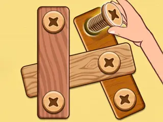 Nut Bolt Puzzle Game